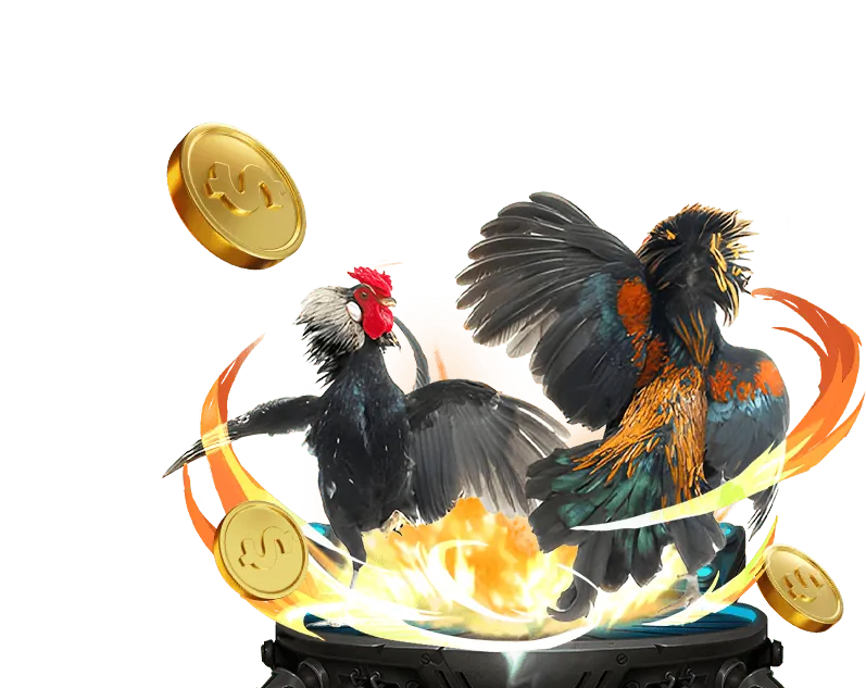 Cá cược bóng đá onebet88